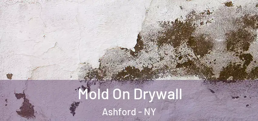  Mold On Drywall Ashford - NY