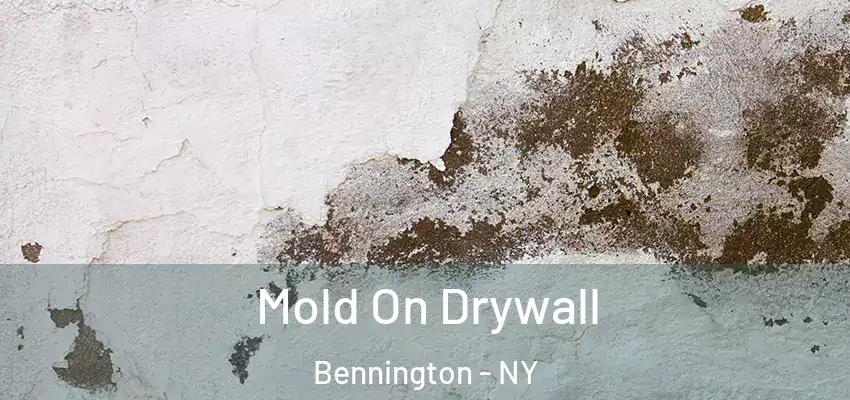  Mold On Drywall Bennington - NY
