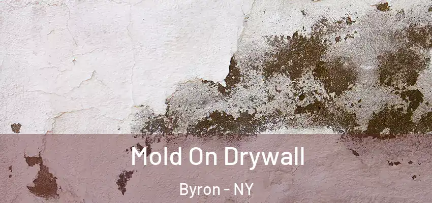  Mold On Drywall Byron - NY