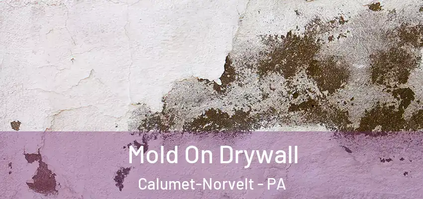  Mold On Drywall Calumet-Norvelt - PA