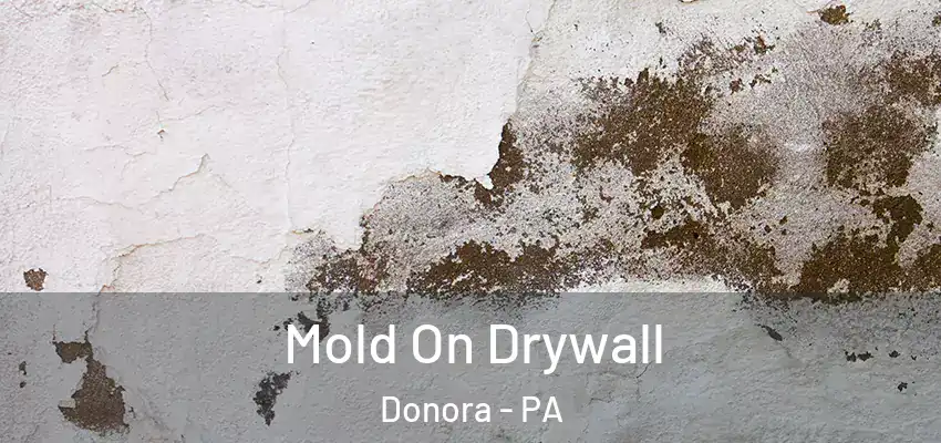  Mold On Drywall Donora - PA