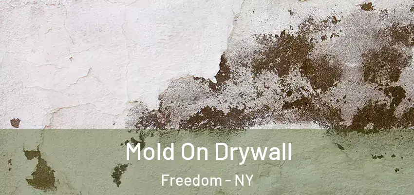  Mold On Drywall Freedom - NY