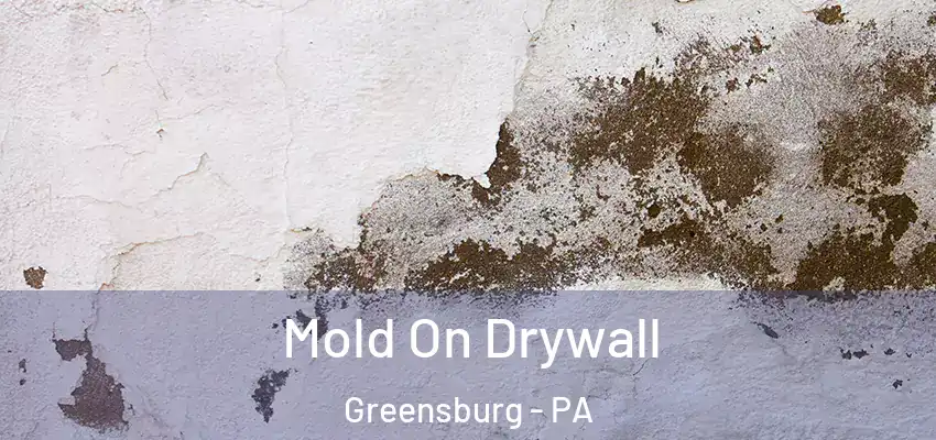  Mold On Drywall Greensburg - PA