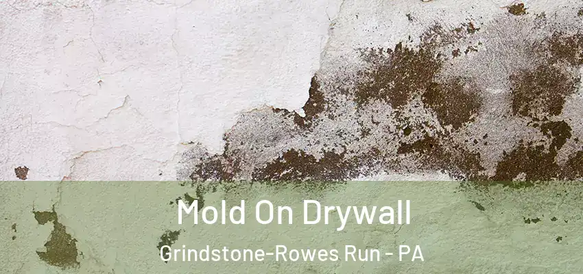  Mold On Drywall Grindstone-Rowes Run - PA
