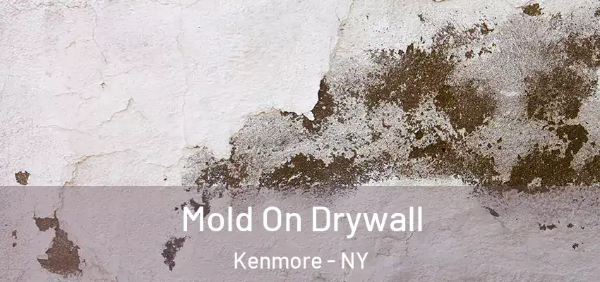  Mold On Drywall Kenmore - NY