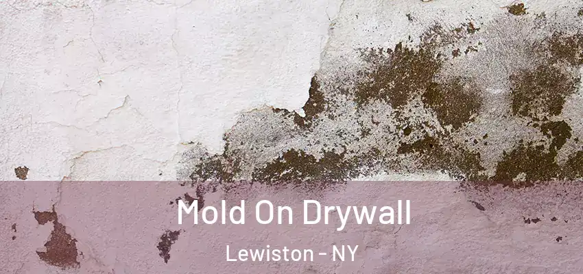  Mold On Drywall Lewiston - NY