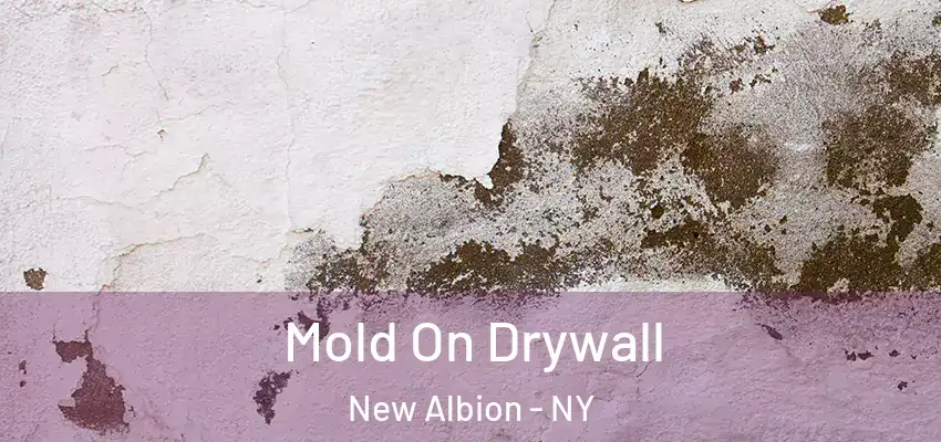  Mold On Drywall New Albion - NY