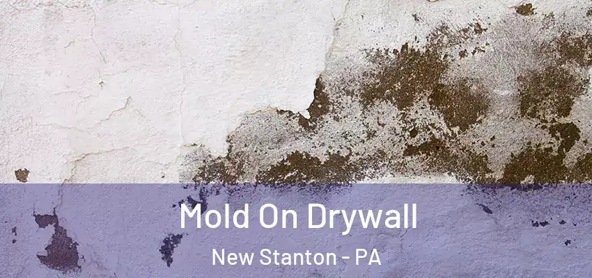  Mold On Drywall New Stanton - PA