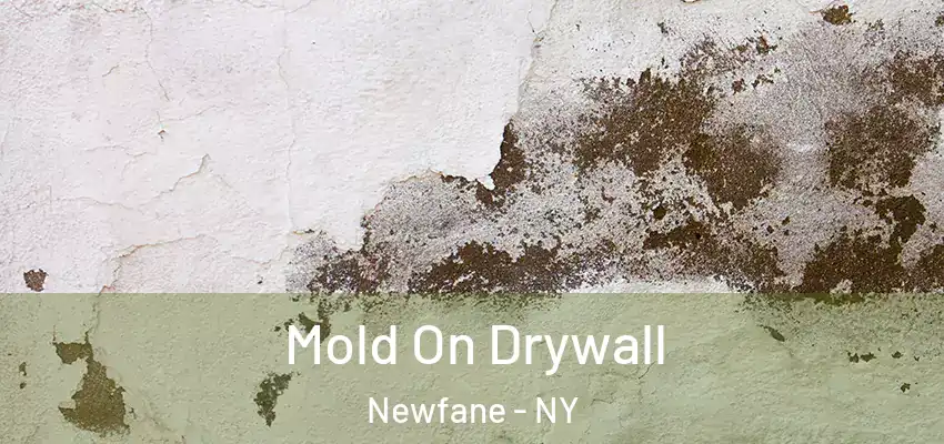  Mold On Drywall Newfane - NY