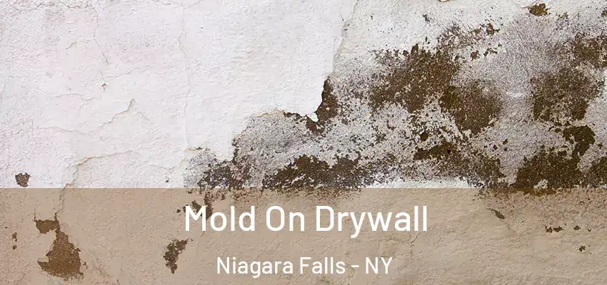  Mold On Drywall Niagara Falls - NY