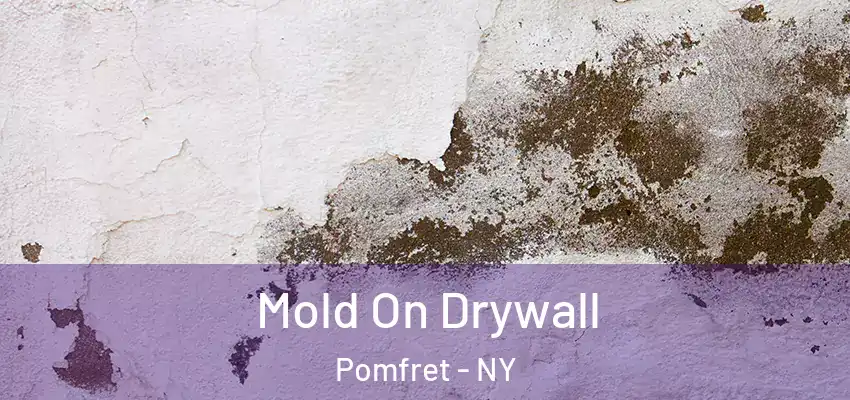  Mold On Drywall Pomfret - NY