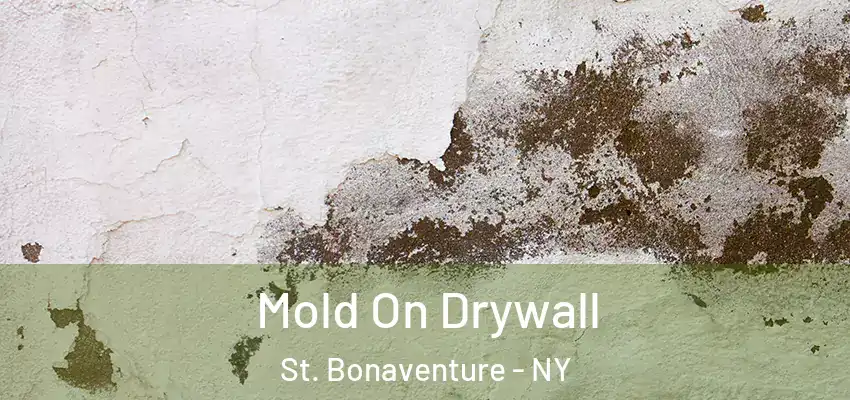  Mold On Drywall St. Bonaventure - NY