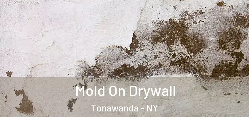  Mold On Drywall Tonawanda - NY