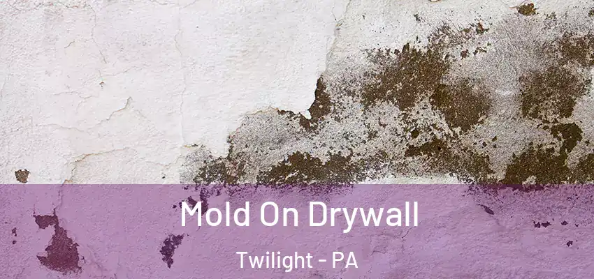  Mold On Drywall Twilight - PA