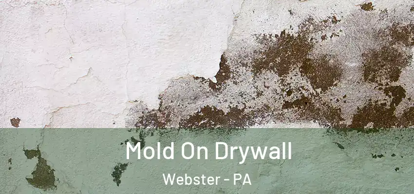  Mold On Drywall Webster - PA