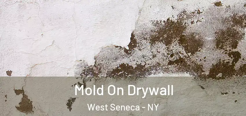  Mold On Drywall West Seneca - NY