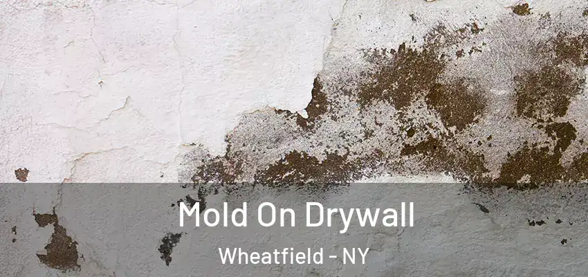  Mold On Drywall Wheatfield - NY