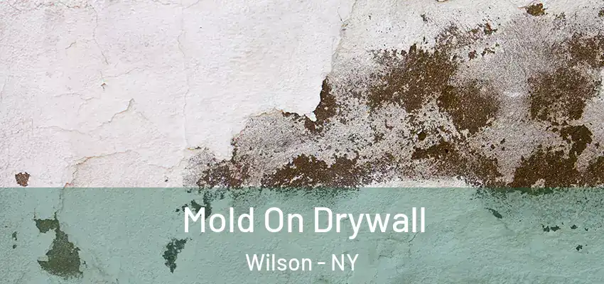  Mold On Drywall Wilson - NY
