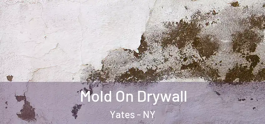  Mold On Drywall Yates - NY