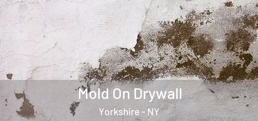  Mold On Drywall Yorkshire - NY