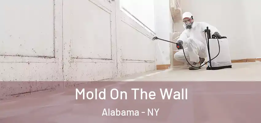  Mold On The Wall Alabama - NY