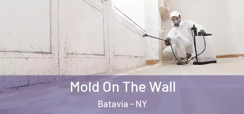  Mold On The Wall Batavia - NY
