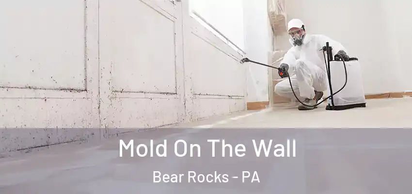  Mold On The Wall Bear Rocks - PA