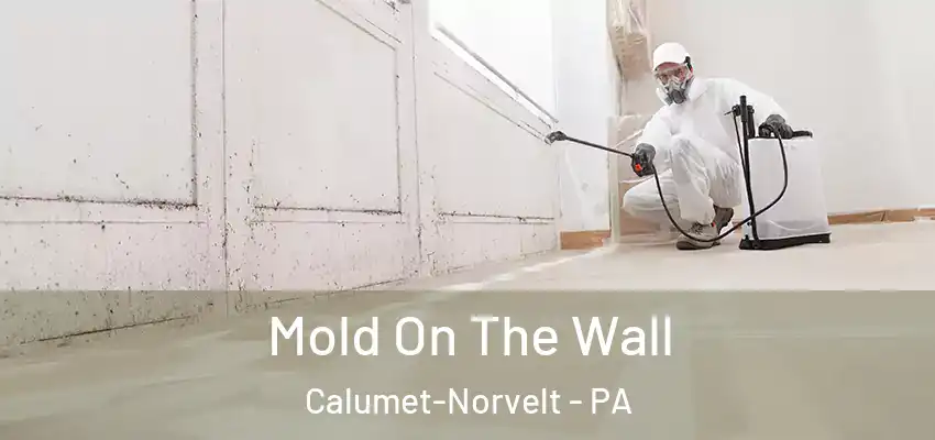  Mold On The Wall Calumet-Norvelt - PA