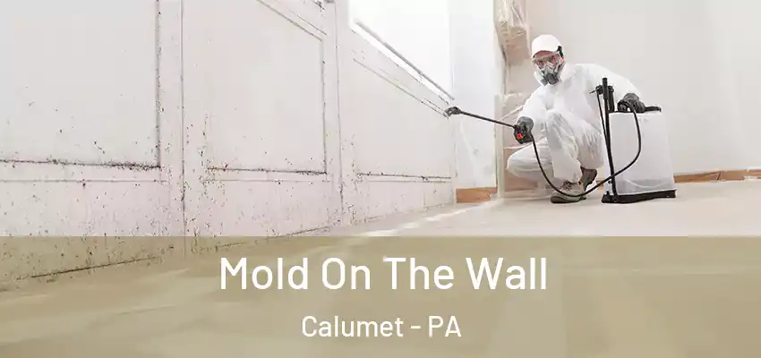  Mold On The Wall Calumet - PA