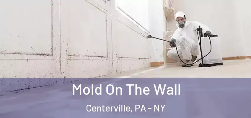  Mold On The Wall Centerville, PA - NY