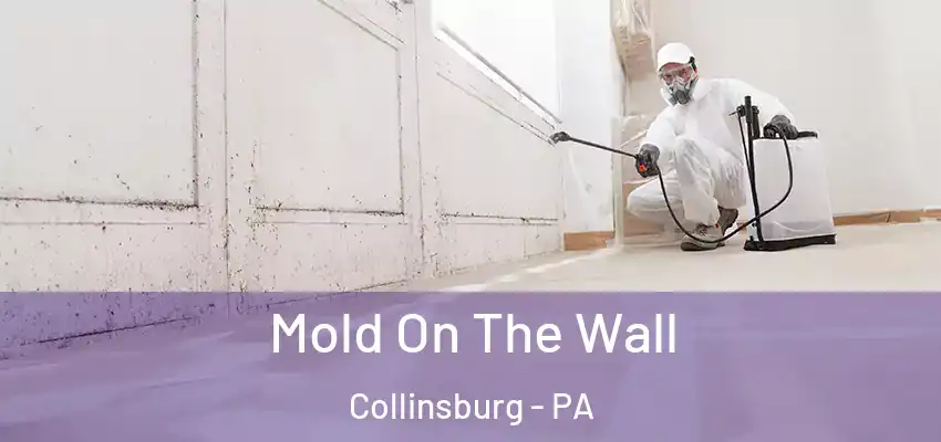  Mold On The Wall Collinsburg - PA