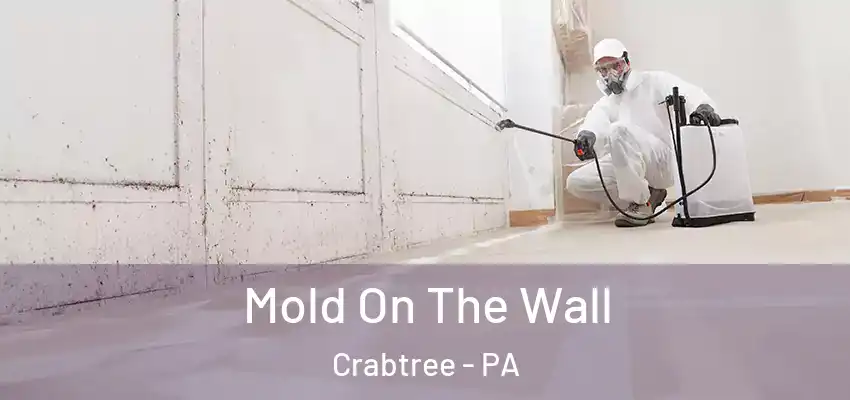  Mold On The Wall Crabtree - PA