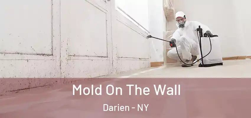  Mold On The Wall Darien - NY