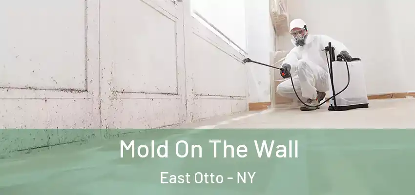  Mold On The Wall East Otto - NY