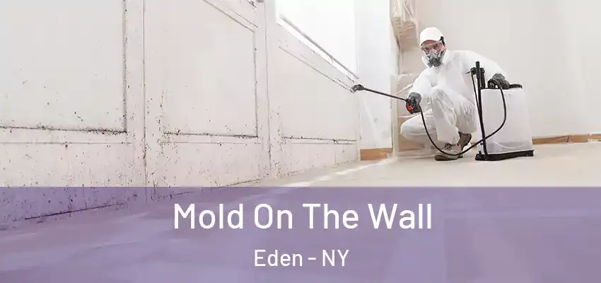 Mold On The Wall Eden - NY