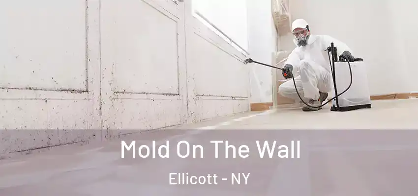  Mold On The Wall Ellicott - NY