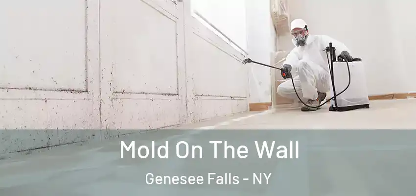  Mold On The Wall Genesee Falls - NY