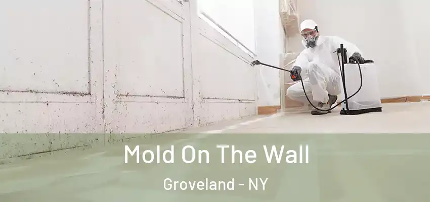  Mold On The Wall Groveland - NY