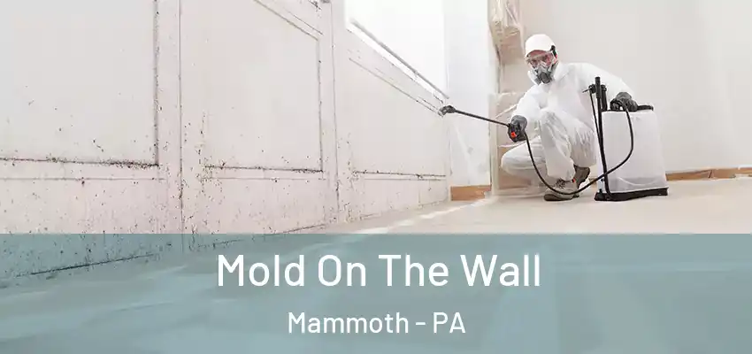  Mold On The Wall Mammoth - PA
