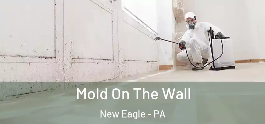  Mold On The Wall New Eagle - PA