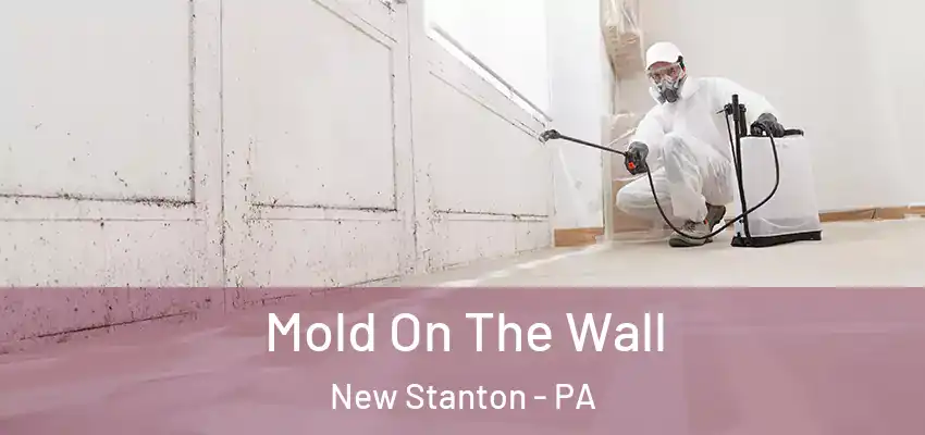  Mold On The Wall New Stanton - PA