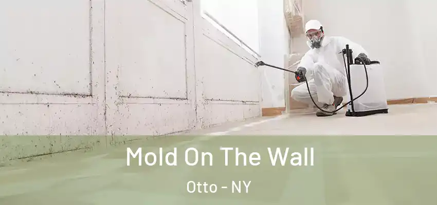  Mold On The Wall Otto - NY