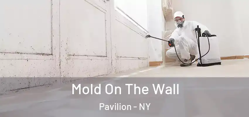  Mold On The Wall Pavilion - NY