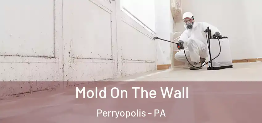  Mold On The Wall Perryopolis - PA
