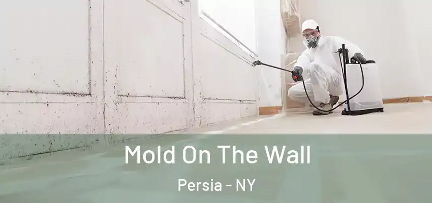  Mold On The Wall Persia - NY