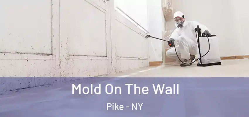  Mold On The Wall Pike - NY