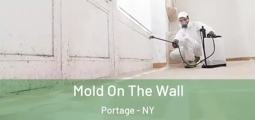  Mold On The Wall Portage - NY