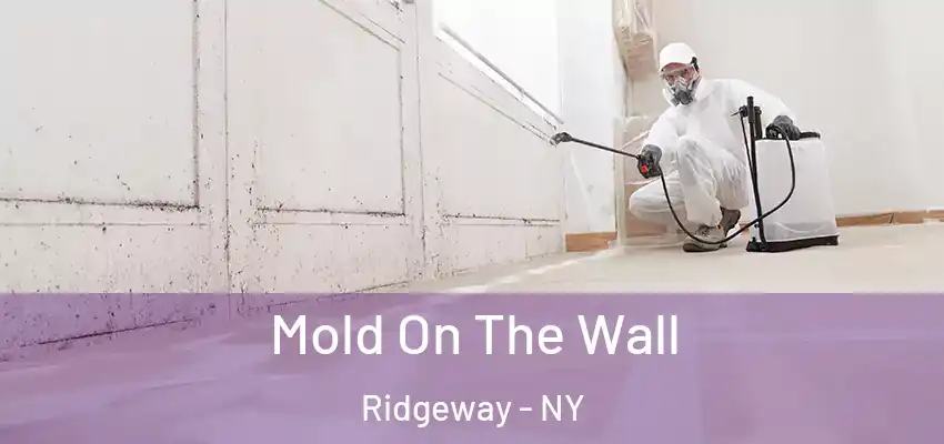  Mold On The Wall Ridgeway - NY