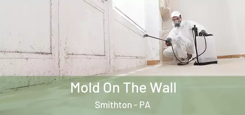  Mold On The Wall Smithton - PA
