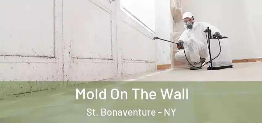  Mold On The Wall St. Bonaventure - NY